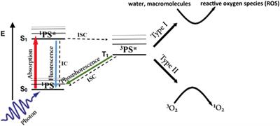 The use of nanomaterials in advancing photodynamic therapy (PDT) for deep-seated tumors and synergy with radiotherapy